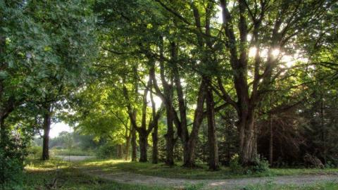 White Noise - 9b.jpg