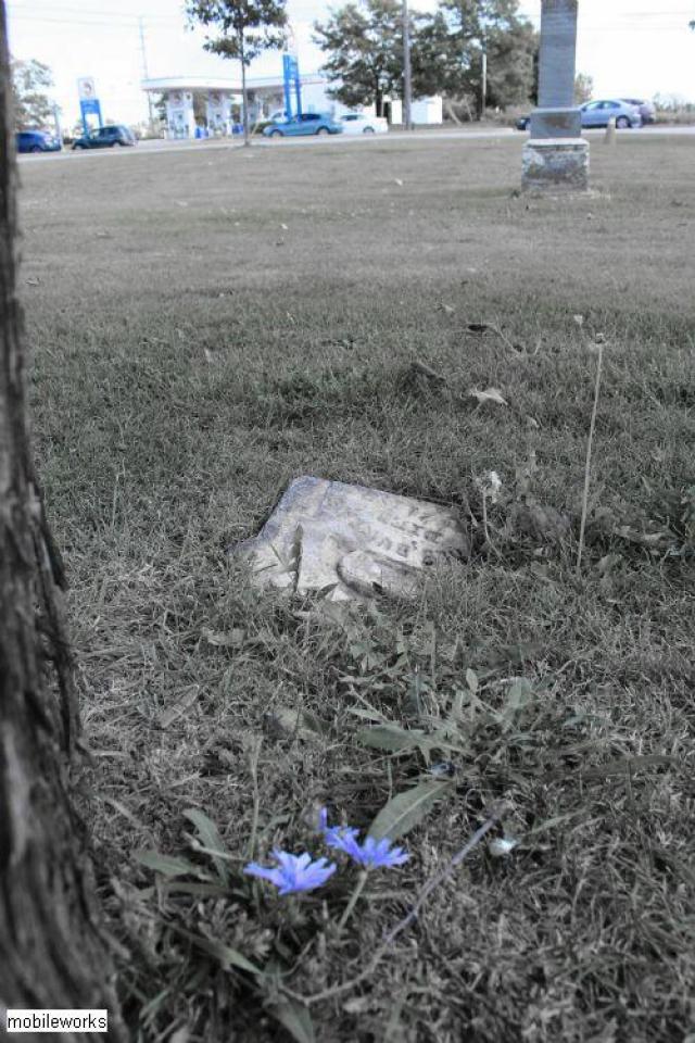 Derry West Pioneer Cemetery photo 3