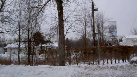 Washago Assorted photo 4