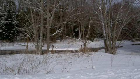 Don't say it too fast!!! - Fawkham-Dont-say-it-too-fast5.jpg