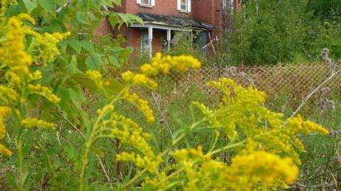 Seeing Red - P1170537.jpg