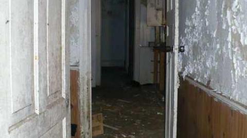 Seeing Red - P1170506.jpg