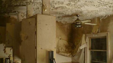 Photo from Seeing Red