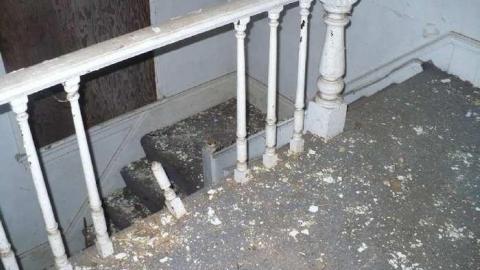 Seeing Red - P1170521.jpg