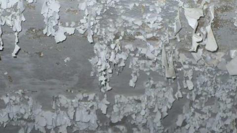 Seeing Red - P1170529.jpg