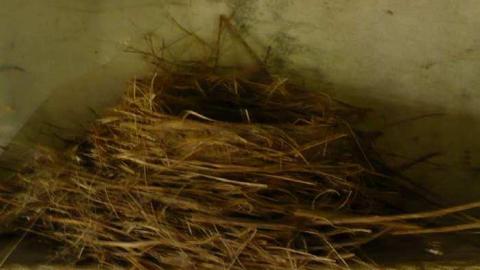 Seeing Red - P1170531.jpg