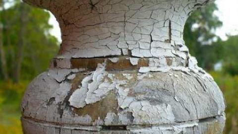 Seeing Red - P1170533.jpg