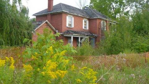 Photo from Seeing Red