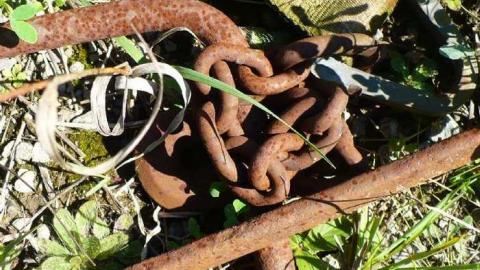 Trucks and Tractors - Burys-Green--tractor-graveyard83.jpg