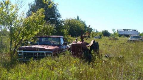 Trucks and Tractors - Burys-Green--tractor-graveyard73.jpg