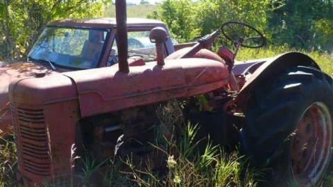 Trucks and Tractors - Burys-Green--tractor-graveyard85.jpg