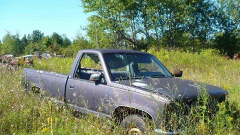 Trucks and Tractors - Burys-Green--tractor-graveyard76.jpg