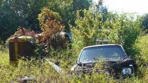 Trucks and Tractors - Burys-Green--tractor-graveyard88.jpg
