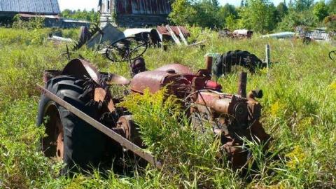 Trucks and Tractors - Burys-Green--tractor-graveyard89.jpg