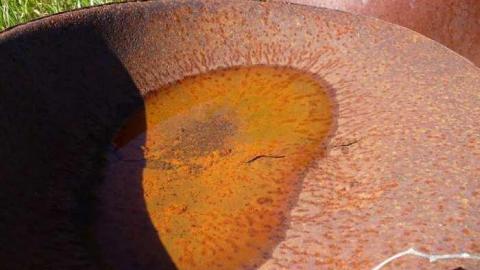 Trucks and Tractors - Burys-Green--tractor-graveyard90.jpg