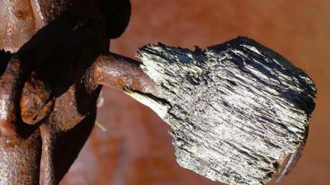 Photo from Trucks and Tractors