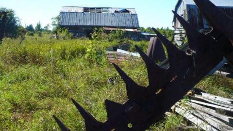 Trucks and Tractors - Burys-Green--tractor-graveyard94.jpg