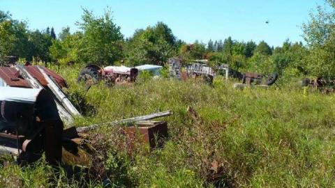 Trucks and Tractors - Burys-Green--tractor-graveyard93.jpg