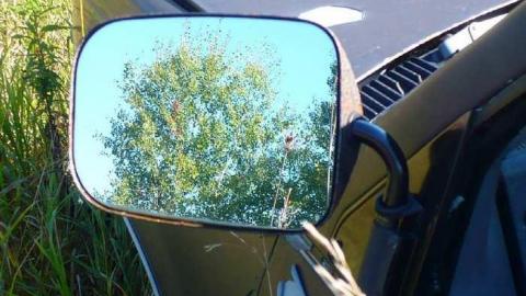 Trucks and Tractors - Burys-Green--tractor-graveyard95.jpg