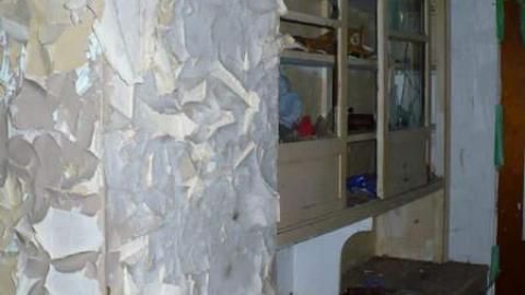 Cubic Zirconia - P1170668.jpg