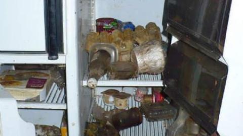 Cubic Zirconia - P1170681.jpg