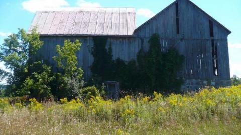 Cubic Zirconia - P1170683.jpg