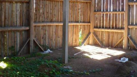 Cubic Zirconia - P1170689.jpg