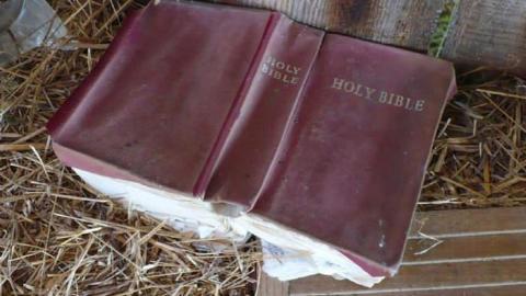 Cubic Zirconia - P1170691.jpg