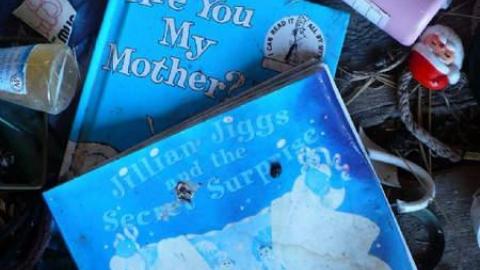 Cubic Zirconia - P1170695.jpg