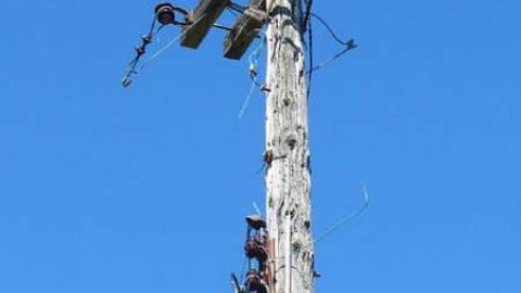 Cubic Zirconia - P1170697.jpg