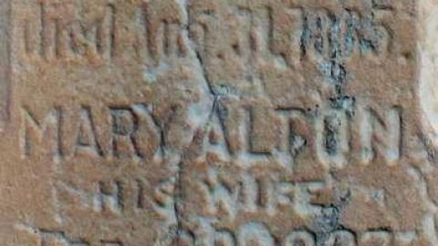 Photo from Munn's the Word