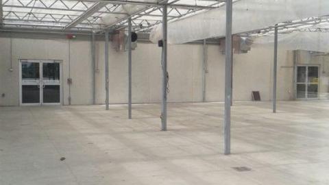 Droopy Day - Churchillls-Rona24.jpg