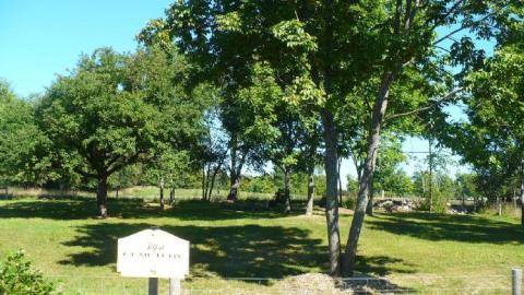 Telford - Telford-Cemetery15.jpg