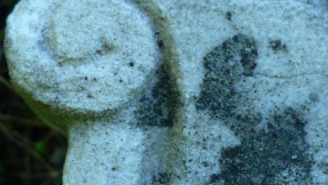 Hilyer's - Hilyers-Cemetery9.jpg