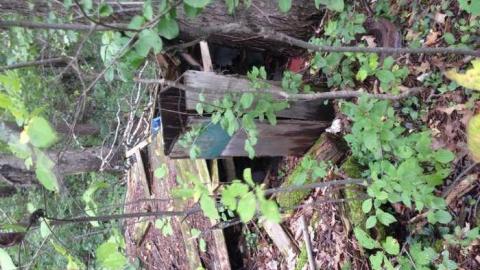 Walk off the path  - The-Other-Side30.jpg