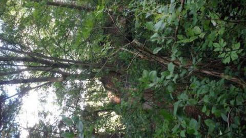 Walk off the path  - The-Other-Side26.jpg