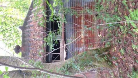 Walk off the path  - The-Other-Side31.jpg