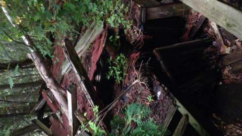 Walk off the path  - The-Other-Side28.jpg