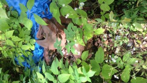 Weird house - igimage.jpg