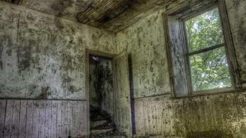 Corn Hole - DSC_6519.jpg