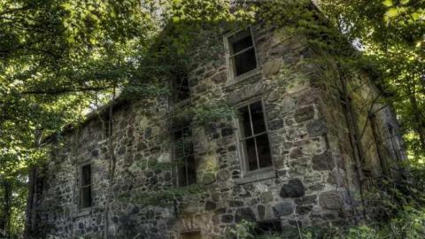 Corn Hole - DSC_6532.jpg