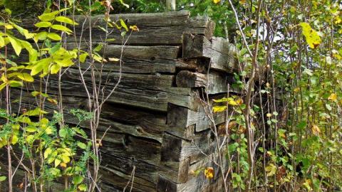 Pardee Pioneer Collapse photo 4