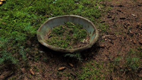 Pardee Pioneer Collapse photo 2