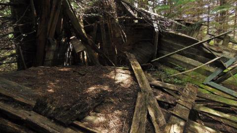 Pardee Pioneer Collapse - Pardee-Pioneer-Collapse10.jpg