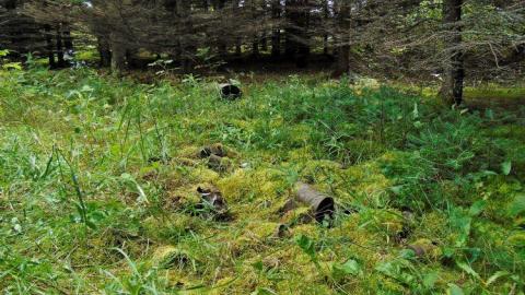 Pardee Pioneer Collapse - Pardee-Pioneer-Collapse11.jpg