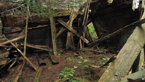 Pardee Pioneer Collapse - Pardee-Pioneer-Collapse12.jpg