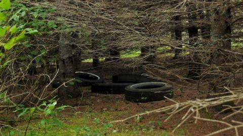 Pardee Pioneer Collapse - Pardee-Pioneer-Collapse13.jpg