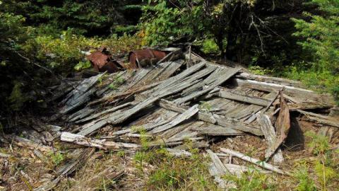 Pardee Pioneer Collapse photo 5