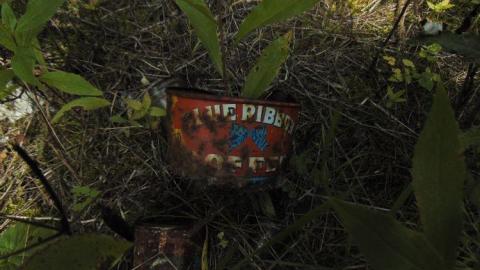 Pardee Pioneer Collapse - Pardee-Pioneer-Collapse7.jpg