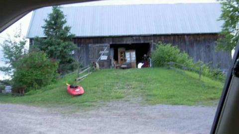 Gelert Alert - Gelert-(ghost-town)1.jpg